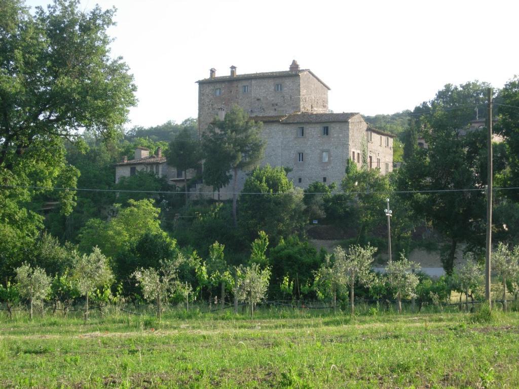 Gli Appartamenti Di Torre Bertona Todi Quarto foto